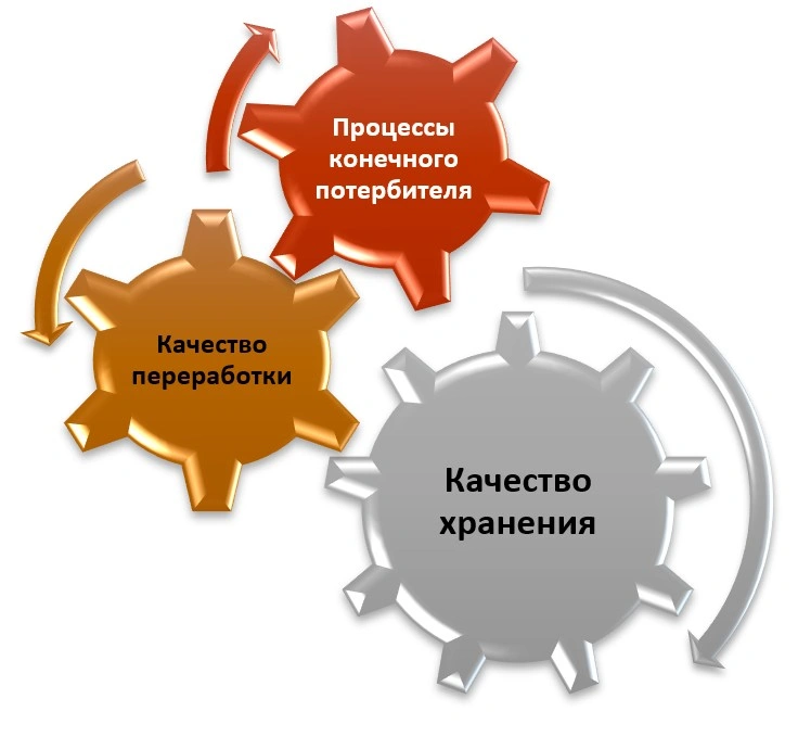 процессы клиентов